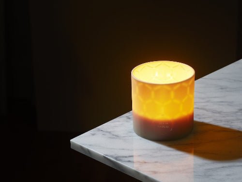 Pagua Bay Luxury Beeswax Candle by Isle de Nature - Mia Wagner Salon